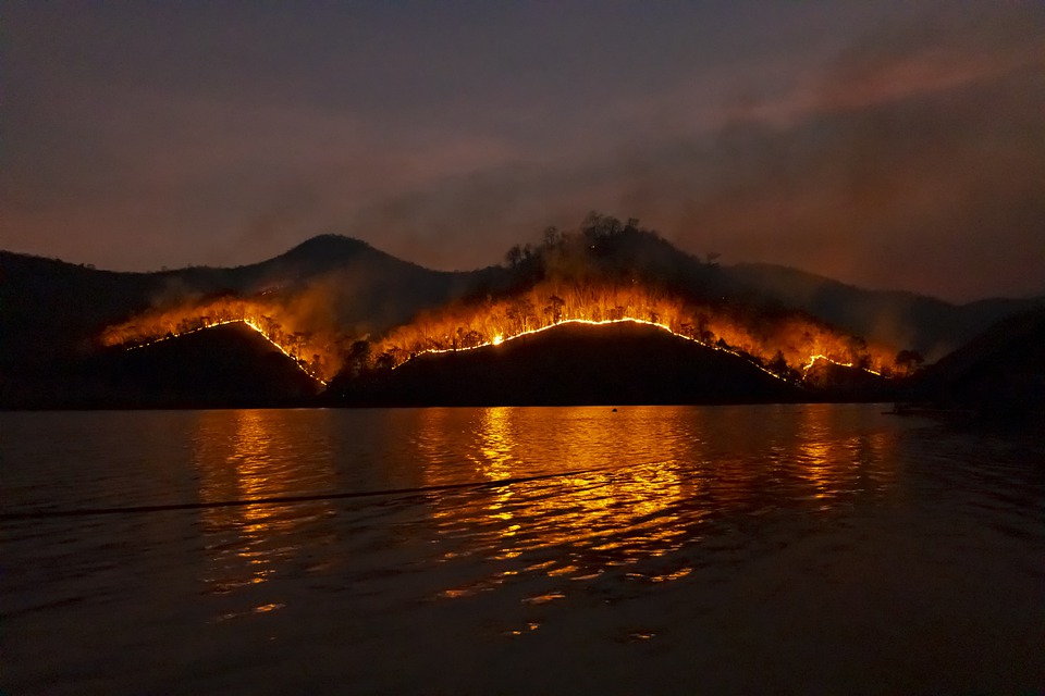 A photo of a bushfire