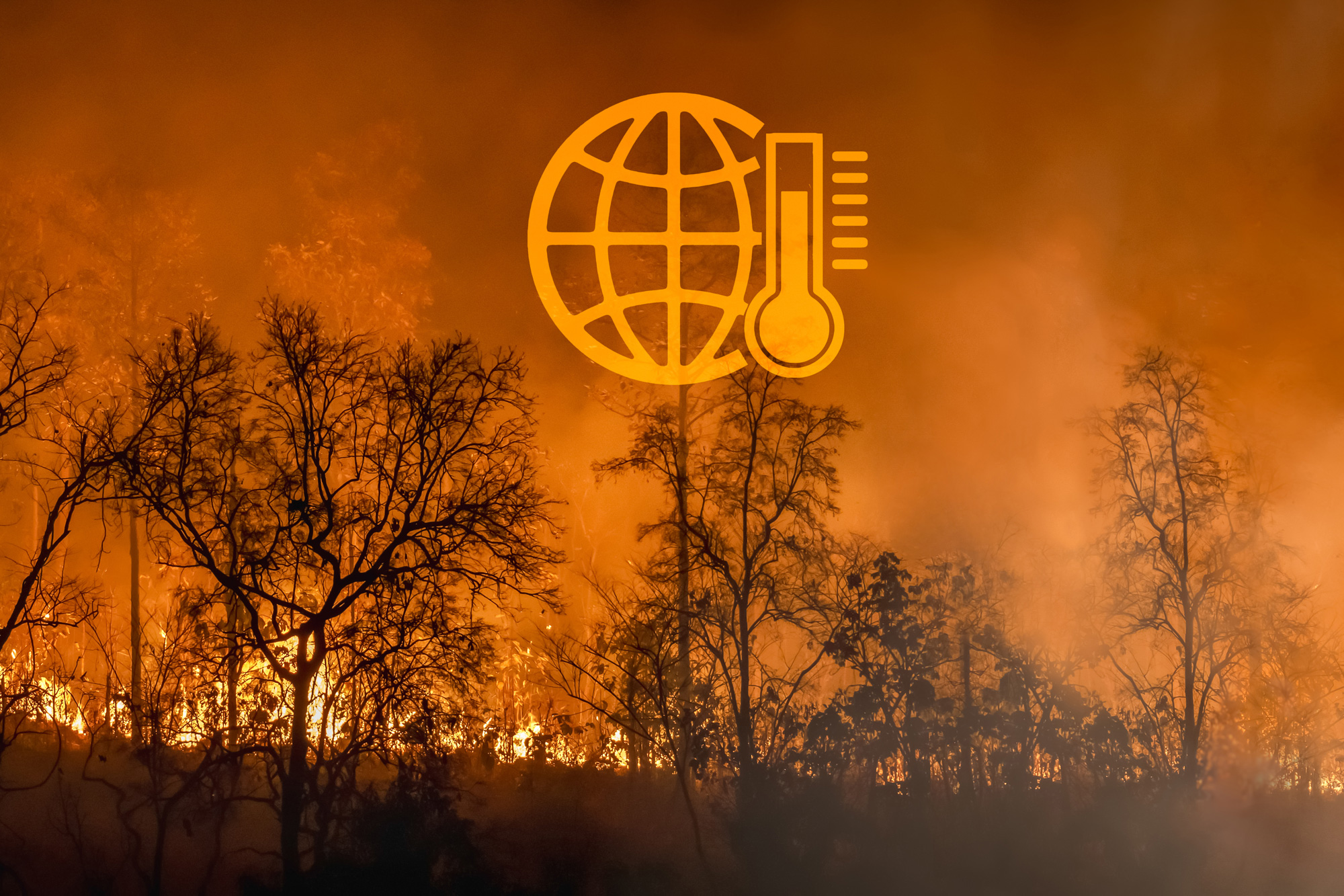 El Niño - Bushfire Risk
